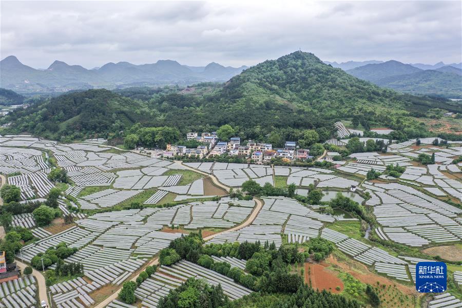 这是广西桂林市全州县才湾镇毛竹山村(2021年4月25日摄,无人机照片)。新华社记者 曹祎铭 摄